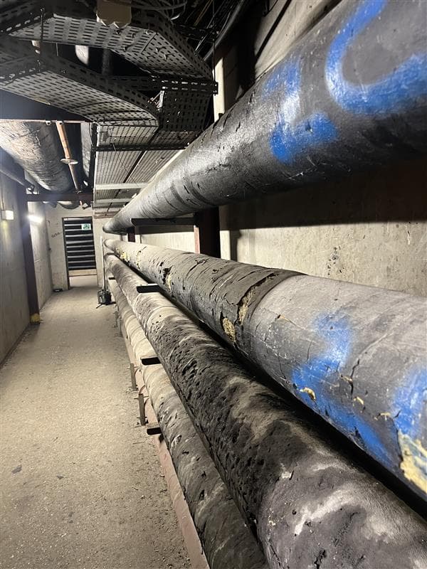 Avant travaux LMD Calorifuge : tuyauteries droites dont l'isolation noire est fortement endommagée dans les sous-sols de Paris.